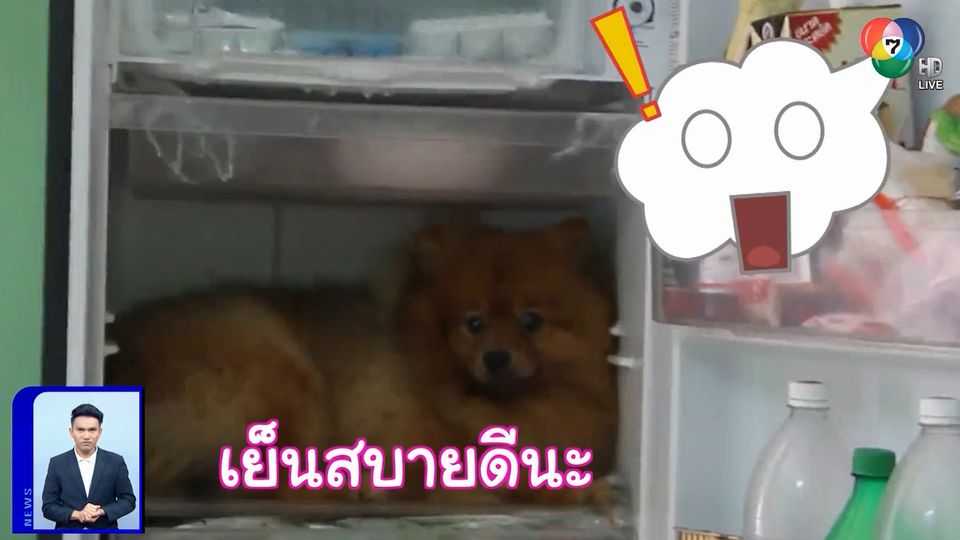 สะเก็ดข่าว : คลายร้อน