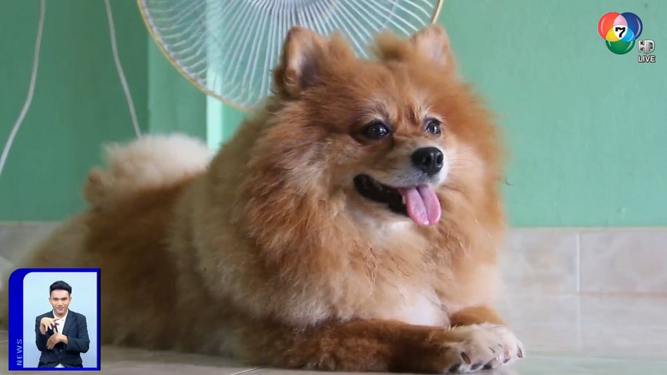 สะเก็ดข่าว ประจำวันที่ 12 พฤษภาคม 2563