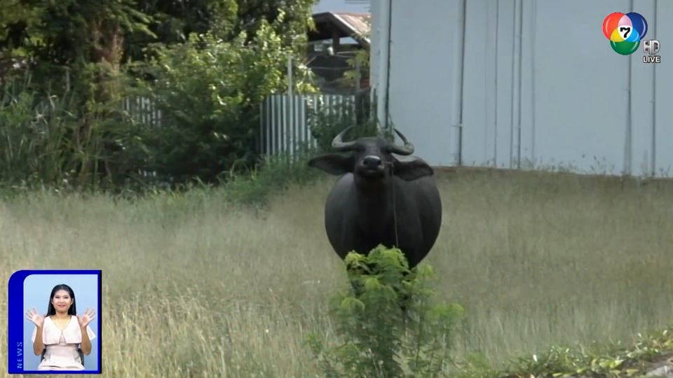 สะเก็ดข่าว ประจำวันที่ 14 พฤษภาคม 2563